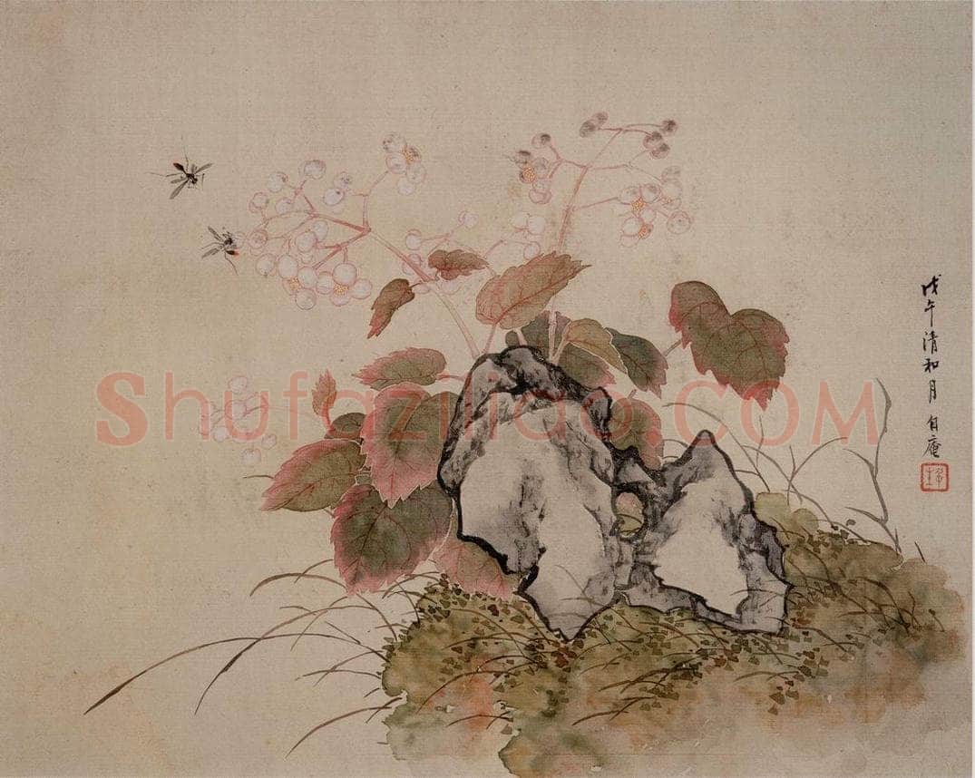  容祖椿 《花卉图册页》 书画作品