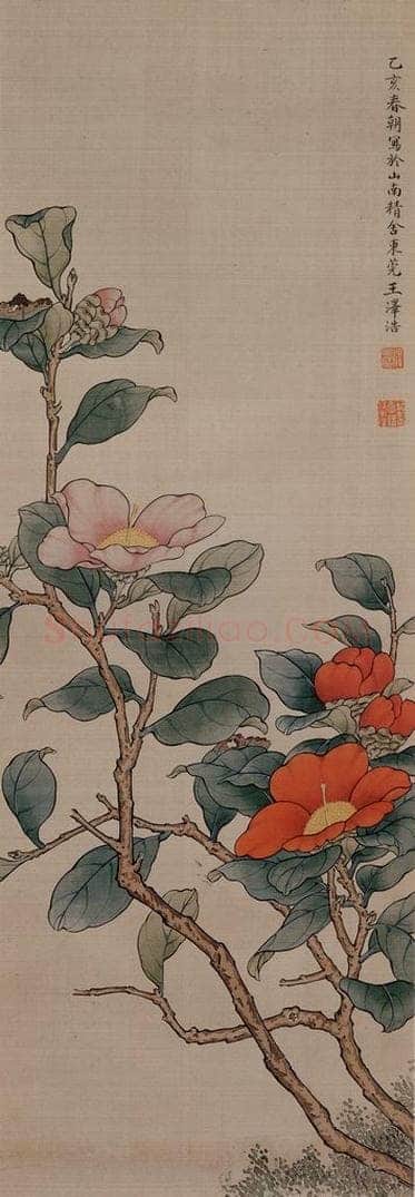  王泽浩 《茶花图轴》 书画作品
