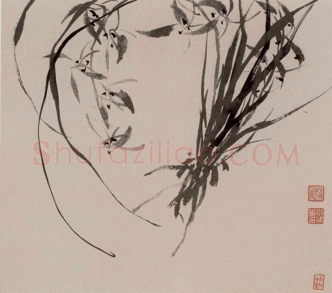  张敬修 《兰花图册页》 书画作品