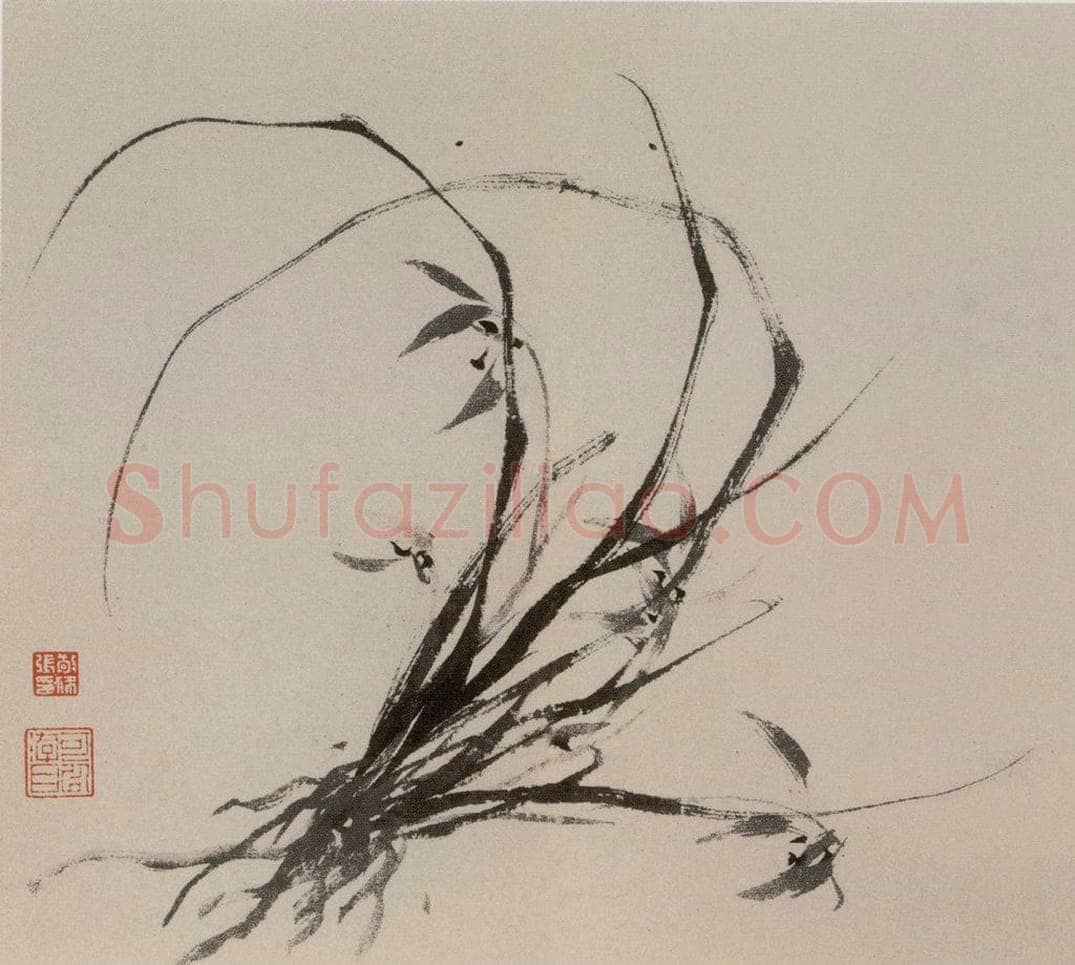 张敬修 《兰花图册页》 书画作品