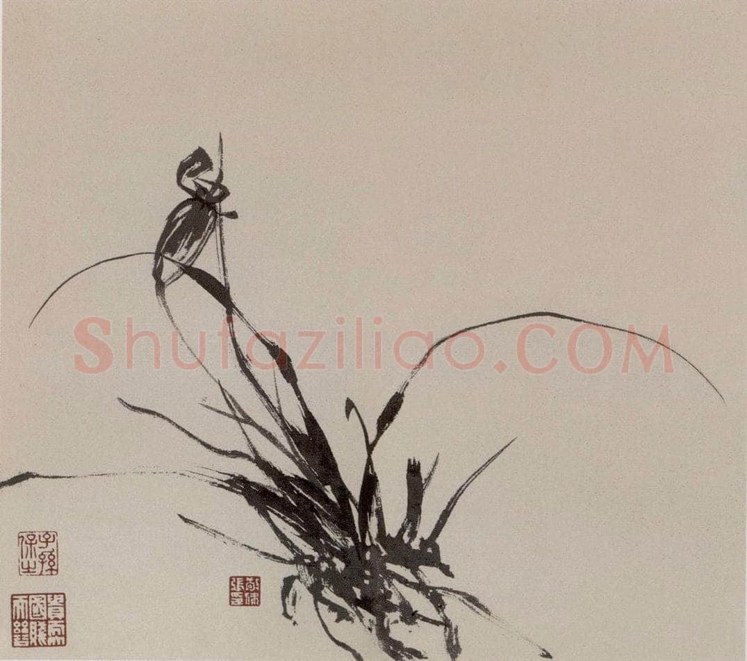  张敬修 《兰花图册页》 书画作品