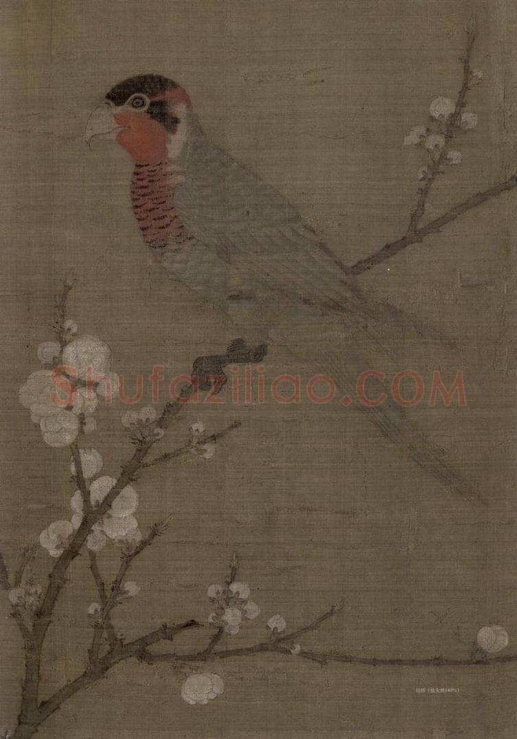 宋 赵佶 《五色鹦鹉图》 书画作品