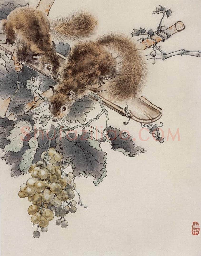 50年代 蔡鹤洲 《松鼠葡萄》 书画作品