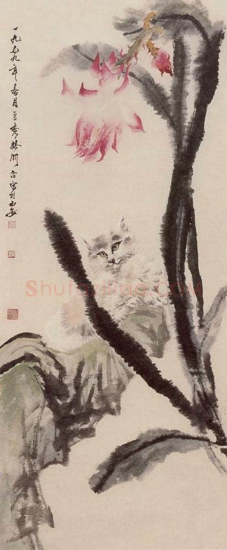 50年代 蔡鹤洲 《昙花狸奴》 书画作品
