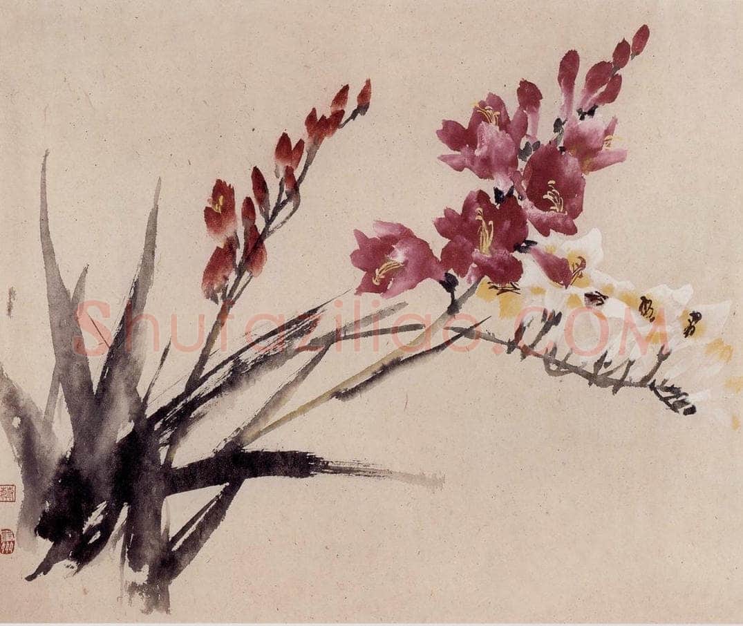 1957年 蔡鹤洲 《菖兰小写》 书画作品