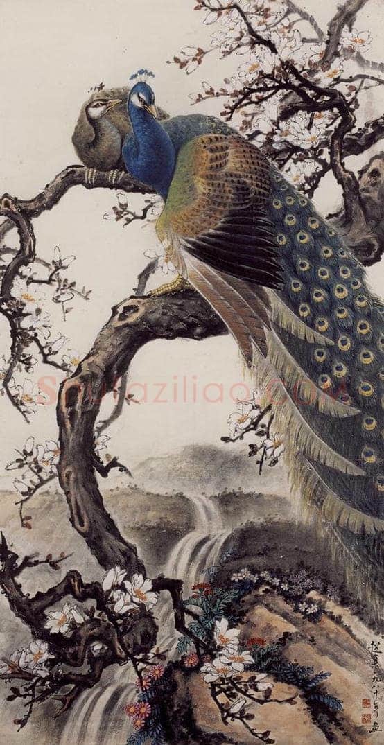 1980年 彭友善 《孔雀》 书画作品