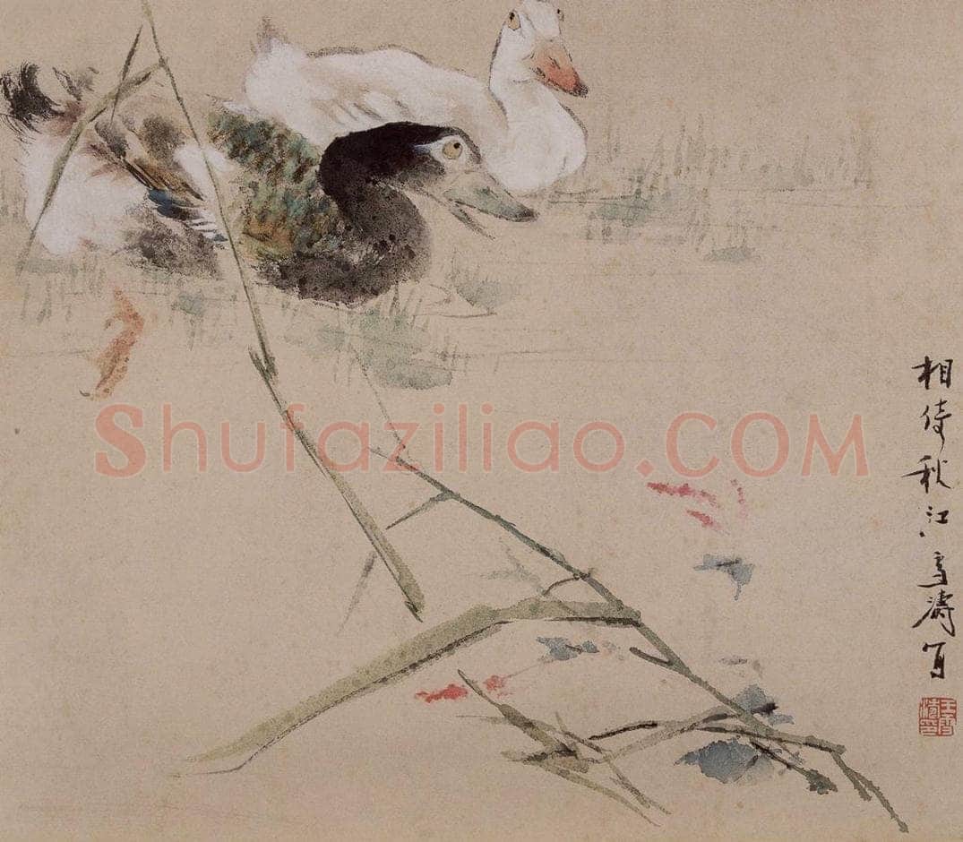1964年 王雪涛 《花鸟册页十开》 书画作品