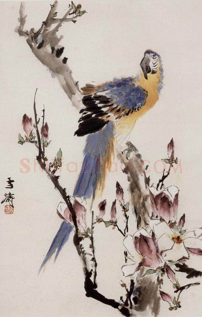 70年代 王雪涛 《玉兰金刚》 书画作品