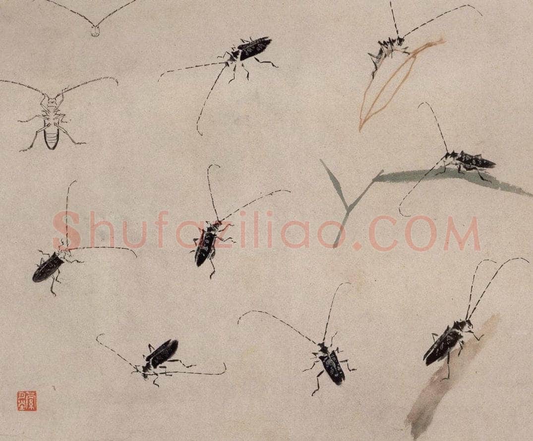 约1960年 王雪涛 《草虫册页》 书画作品