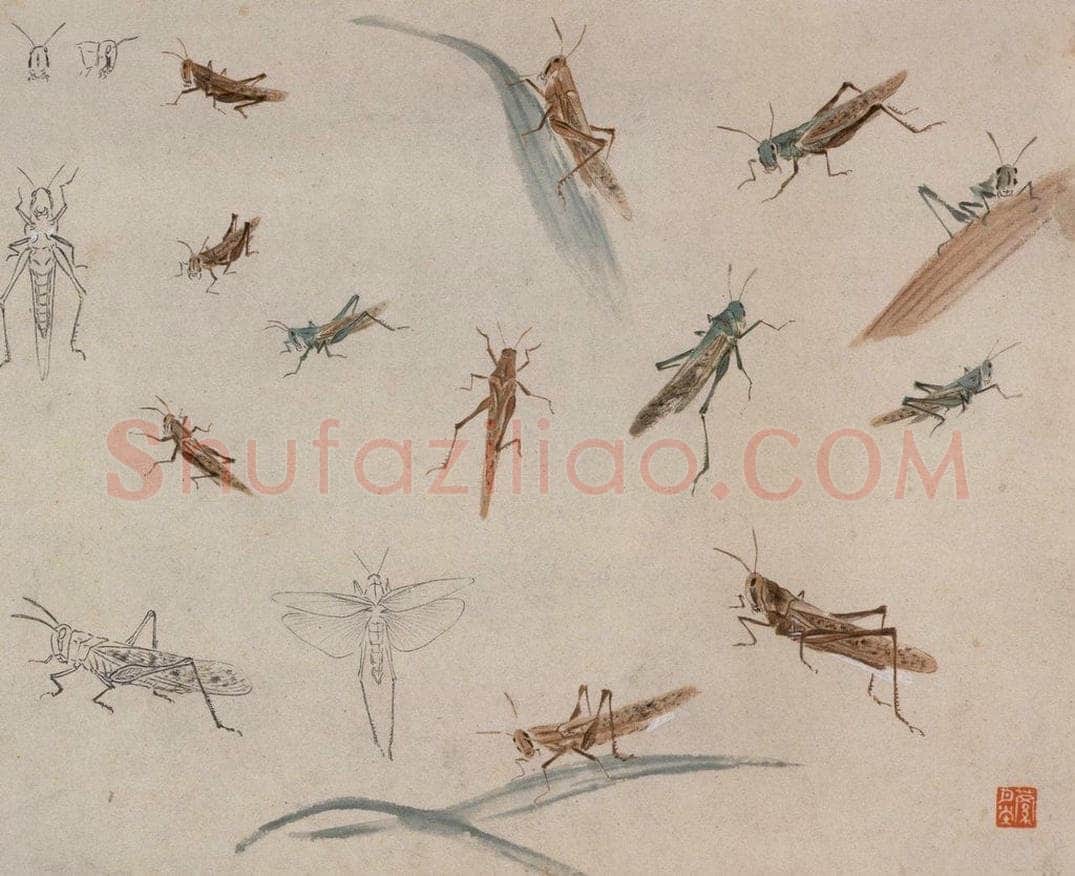 约1960年 王雪涛 《草虫册页》 书画作品
