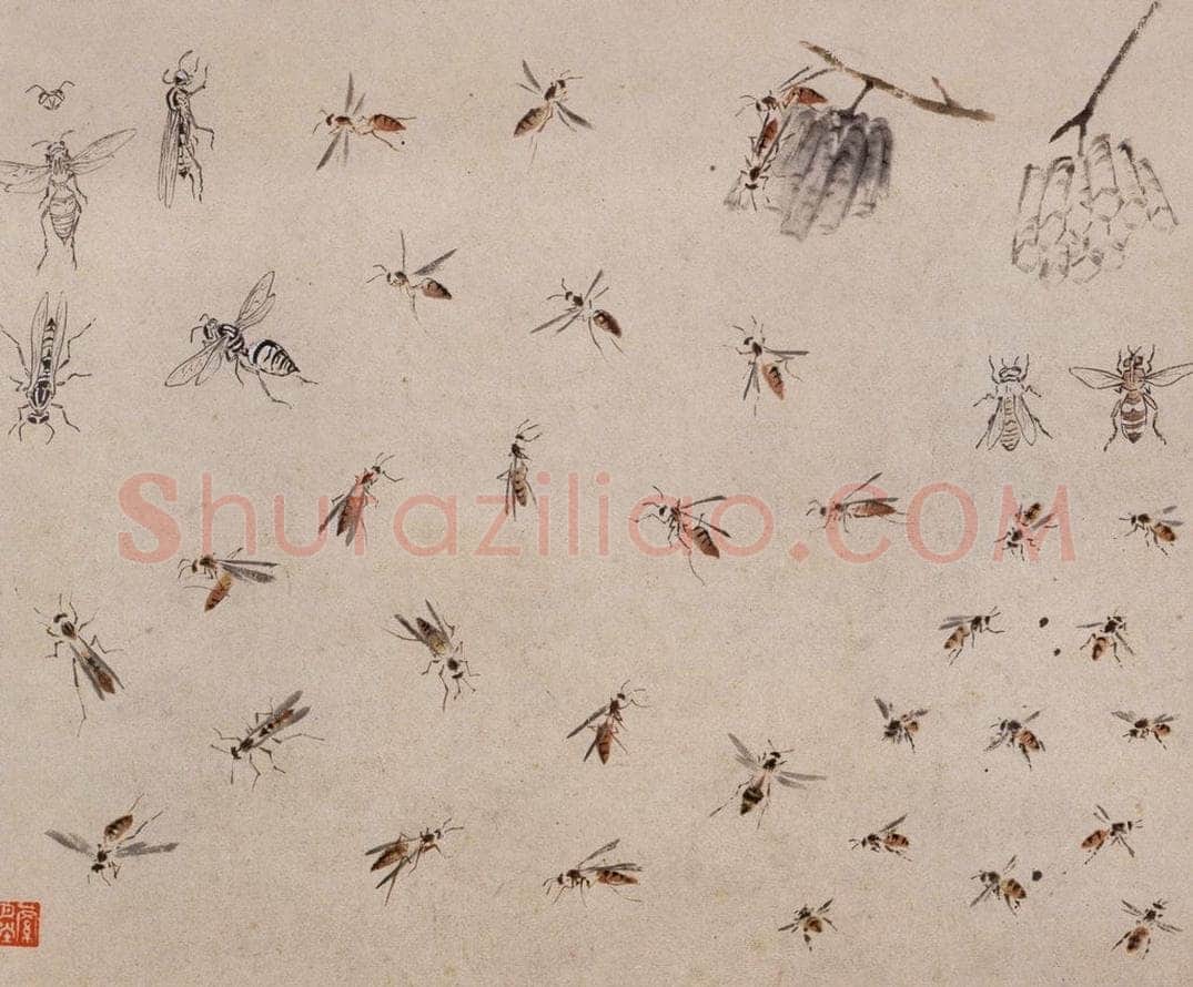 约1960年 王雪涛 《草虫册页》 书画作品