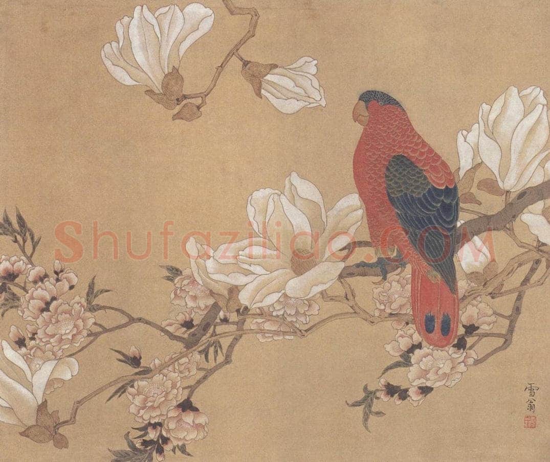 陈之佛 《玉兰鹦鹉图》 书画作品