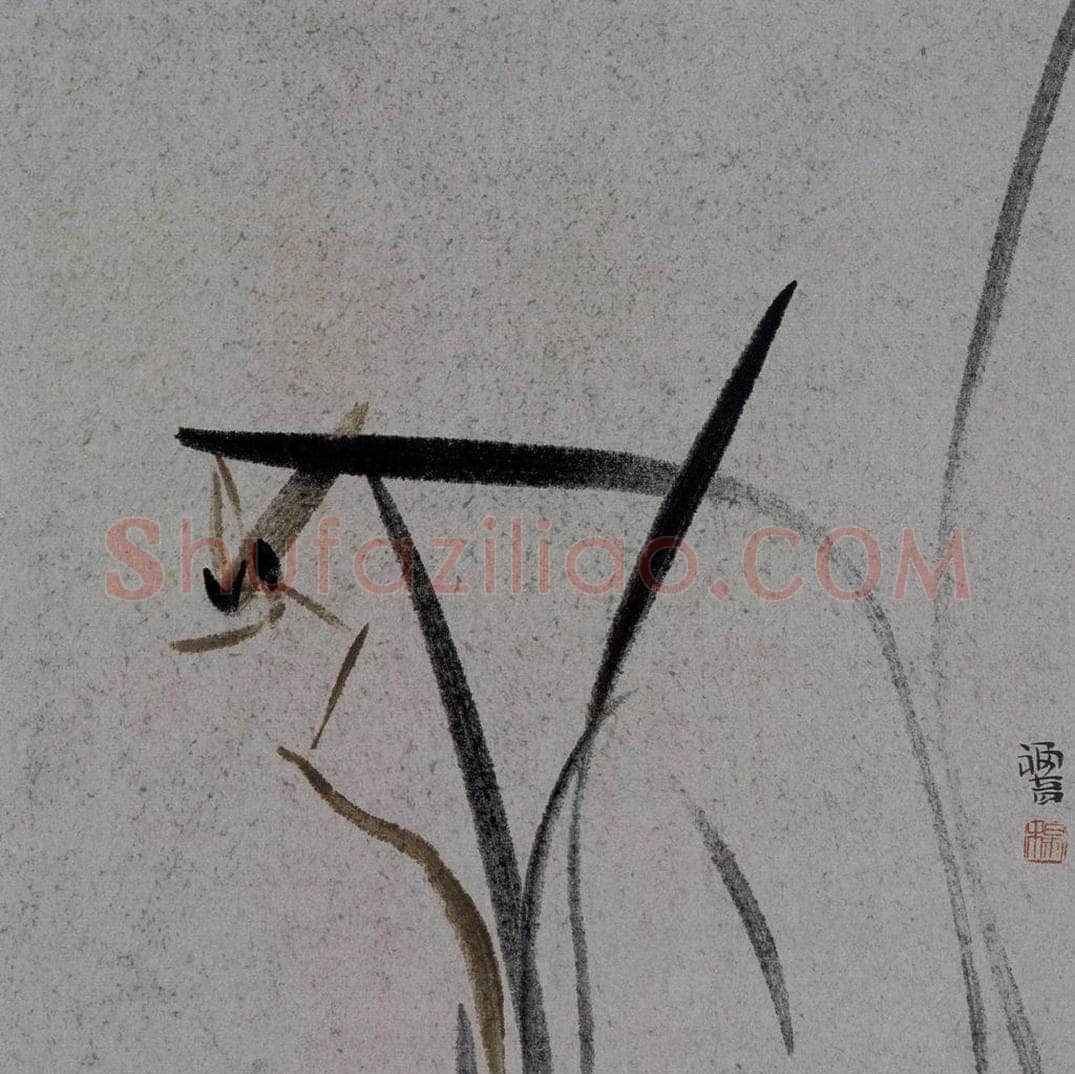 2007年 杨福音 《兰花册页》 书画作品