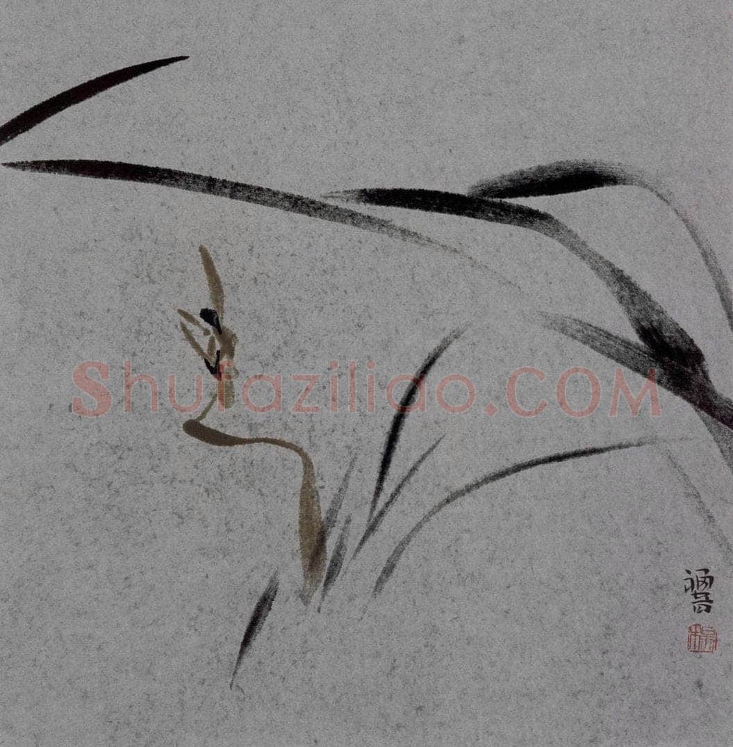 2007年 杨福音 《兰花册页》 书画作品