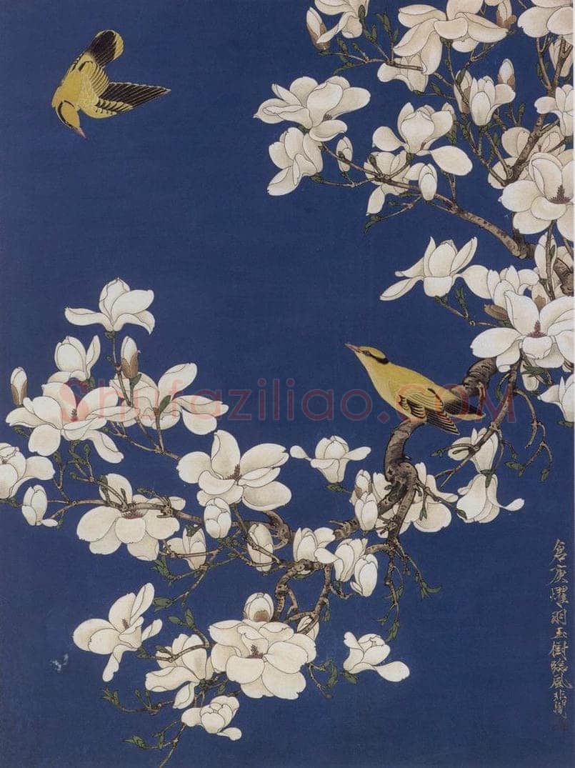 1956年 于非闇 《玉兰黄鹂》 书画作品