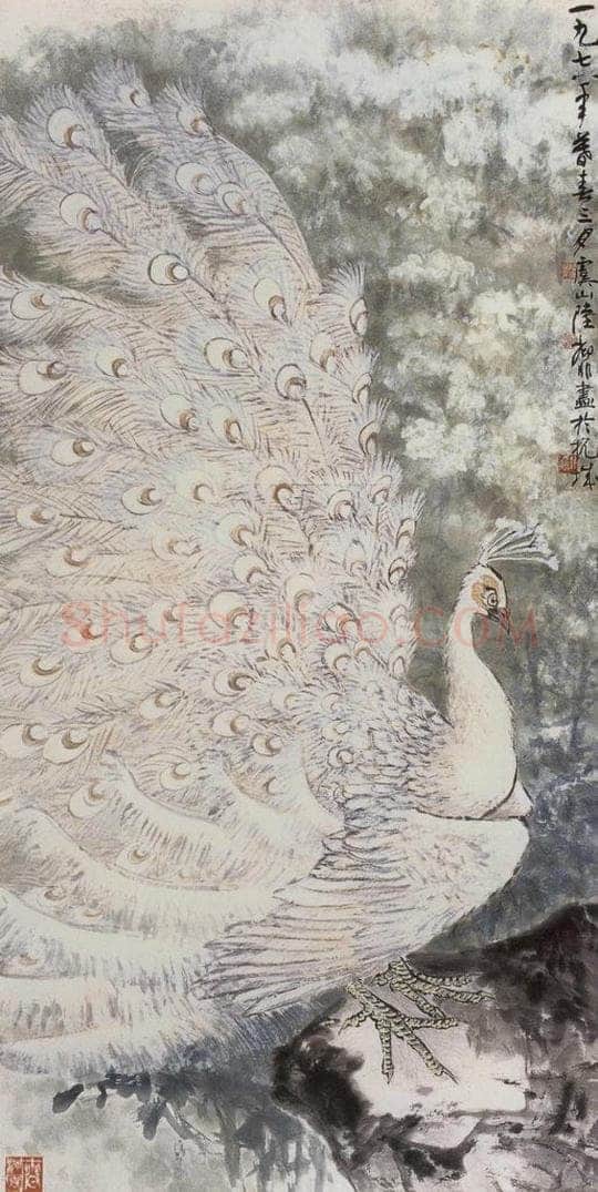 1978年 陆抑非 《白孔雀》 书画作品