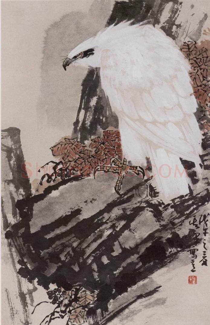 1978年 孙其峰 《白鹰》 书画作品