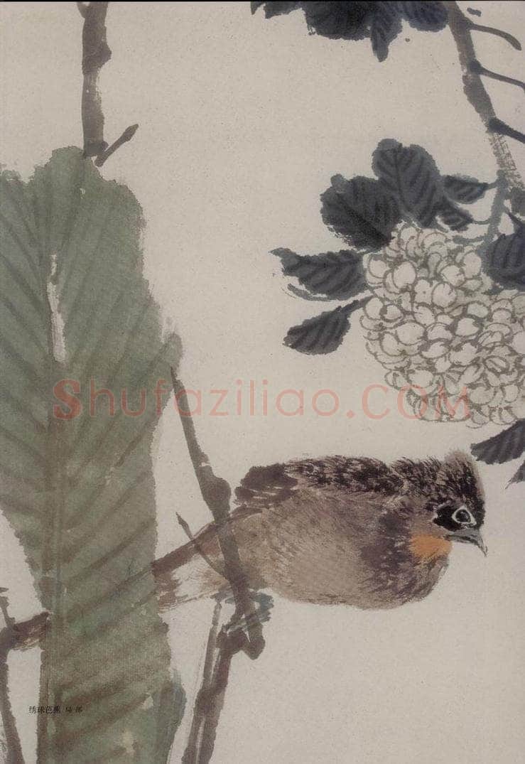 1882年 任伯年 《绣球芭蕉》 书画作品
