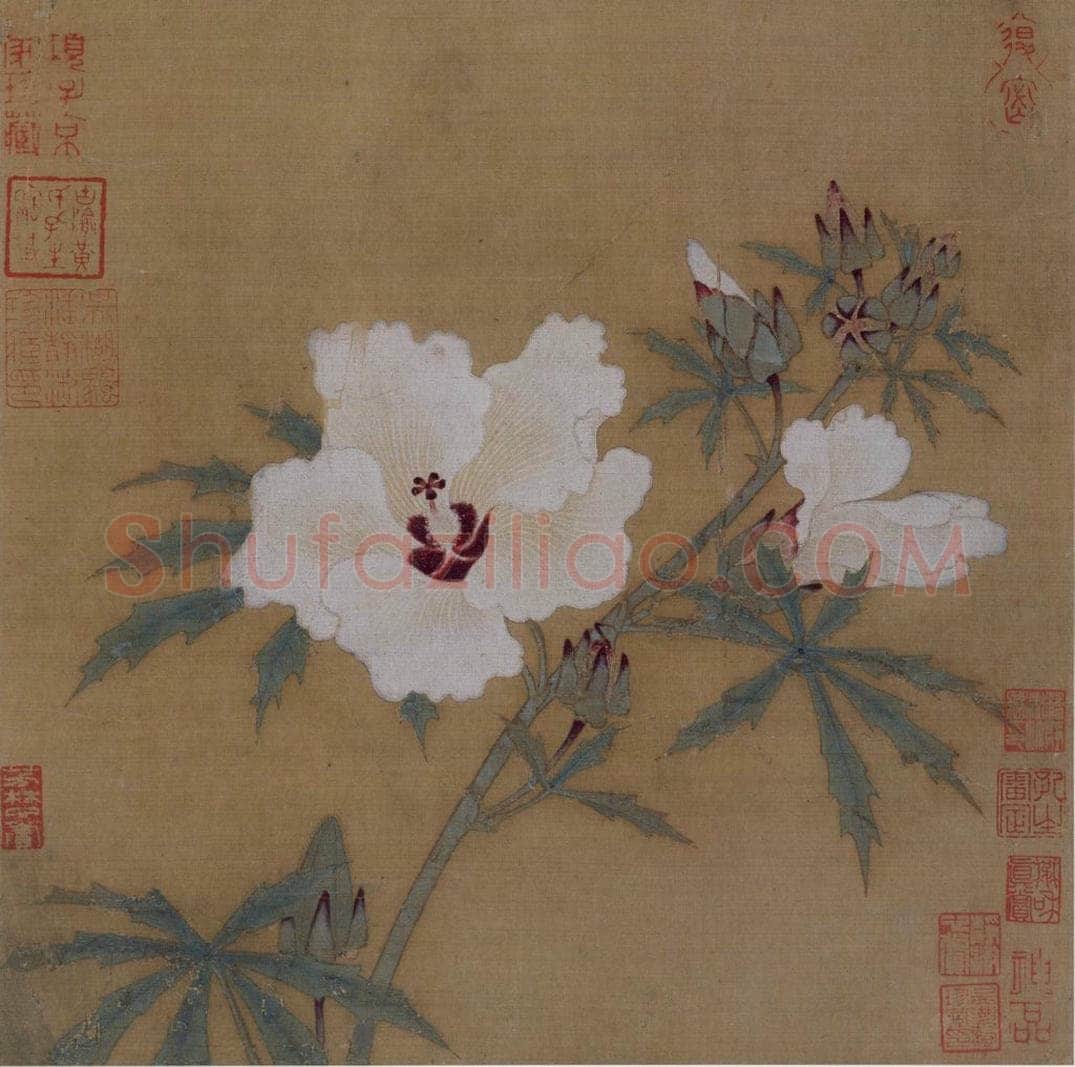 宋 佚名 《秋葵图》 书画作品