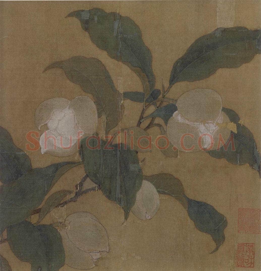 宋 佚名 《夜合花图》 书画作品
