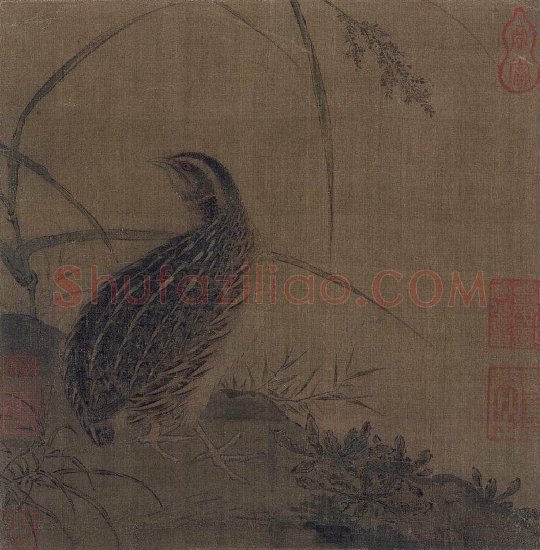 宋 佚名 《鹌鹑图》 书画作品