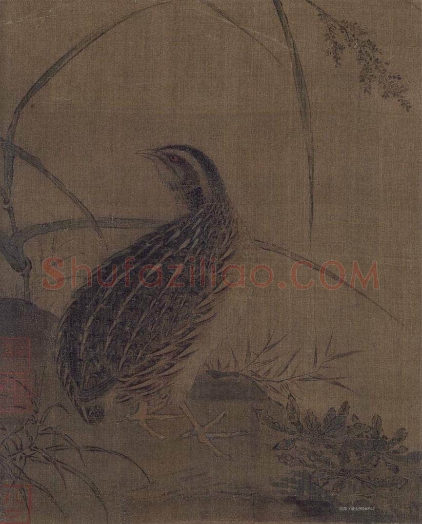 宋 佚名 《鹌鹑图》 书画作品