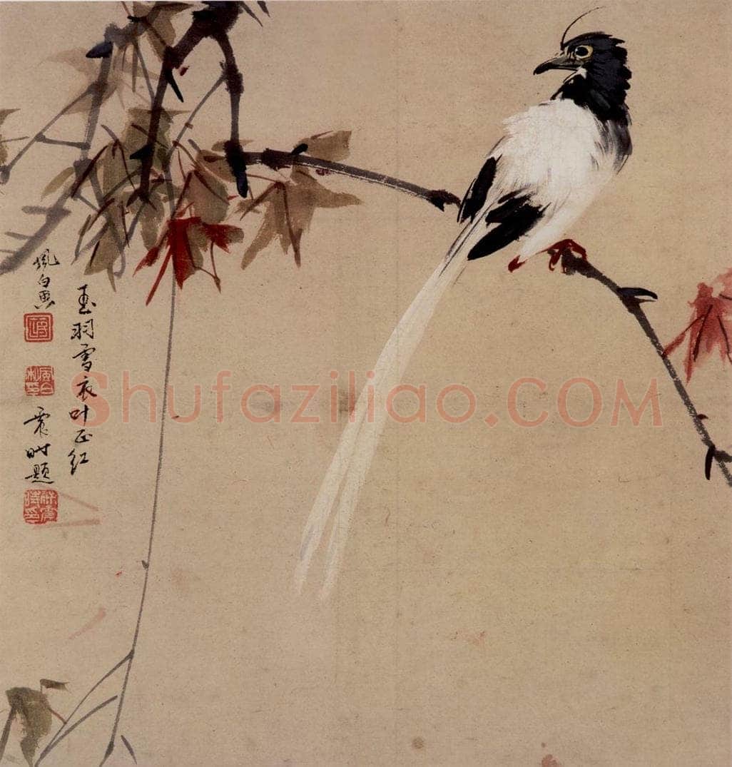 50年代 蒋凤白 《玉羽雪衣叶正红》 书画作品