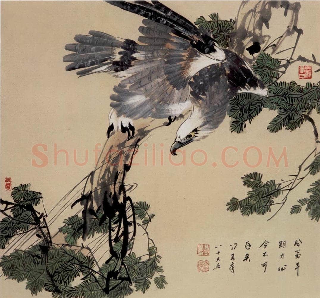 70年代 蒋凤白 《鹰》 书画作品