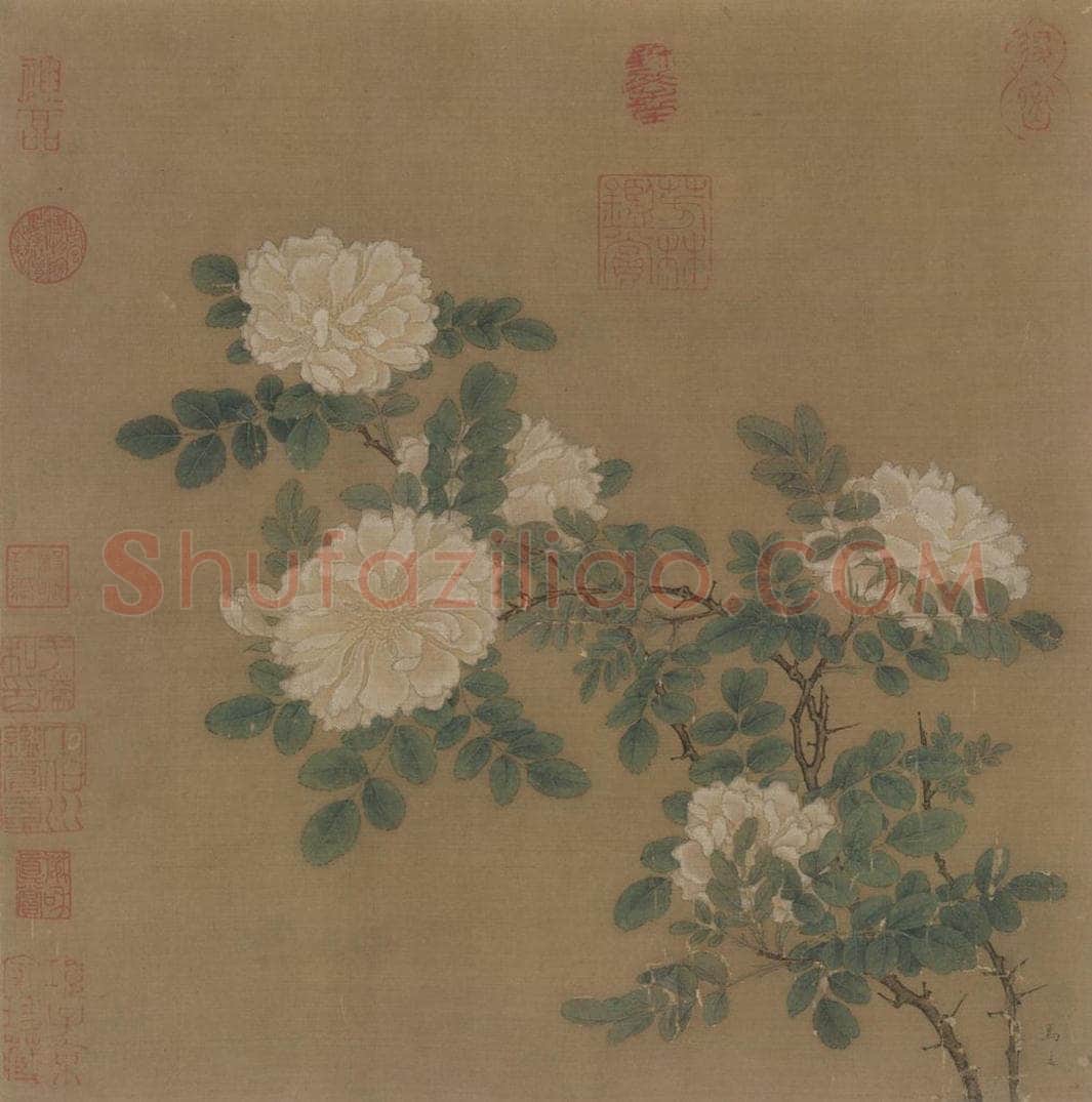 宋代 马远 《白蔷薇图》 书画作品