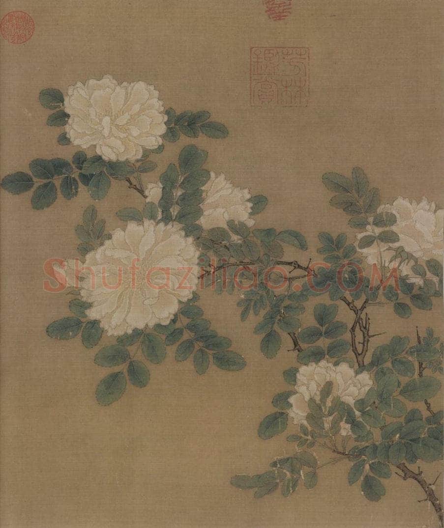 宋代 马远 《白蔷薇图》 书画作品