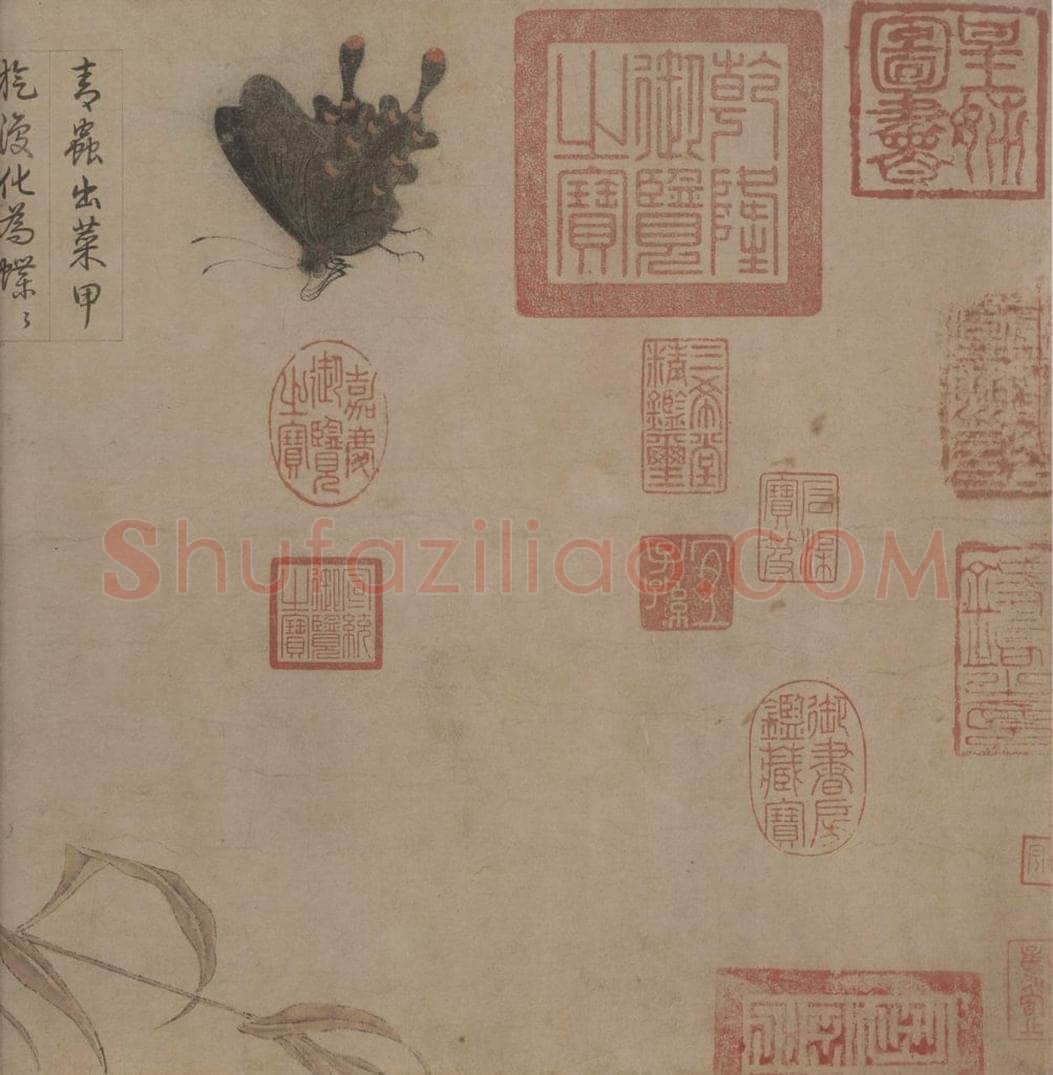 宋 赵昌 《写生蛱蝶图》 书画作品