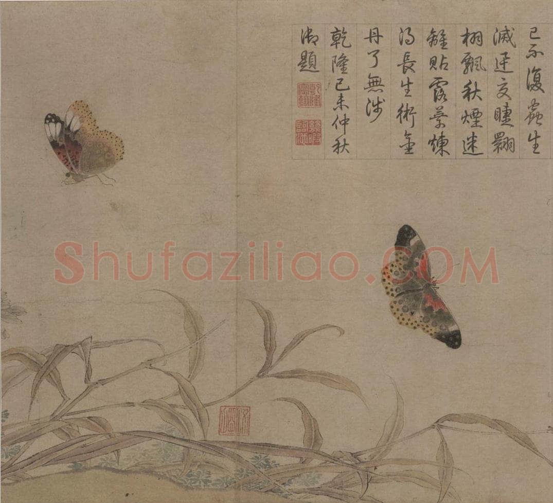 宋 赵昌 《写生蛱蝶图》 书画作品