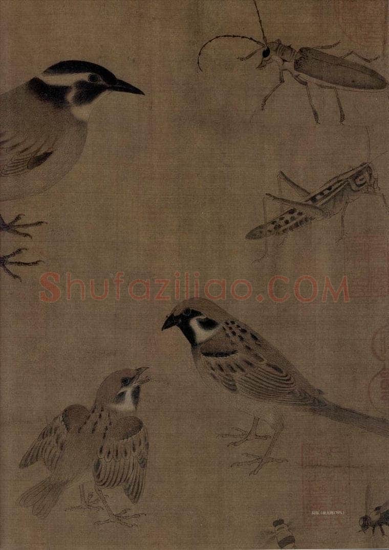 五代 黄筌 《写生珍禽图》 书画作品