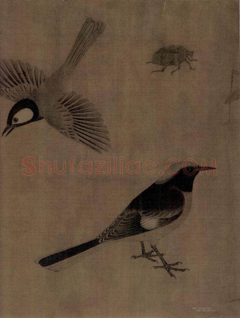 五代 黄筌 《写生珍禽图》 书画作品
