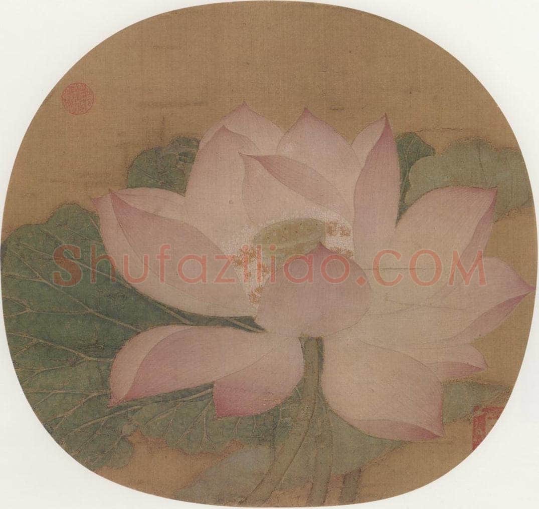 宋朝 佚名 《出水芙蓉图》 书画作品