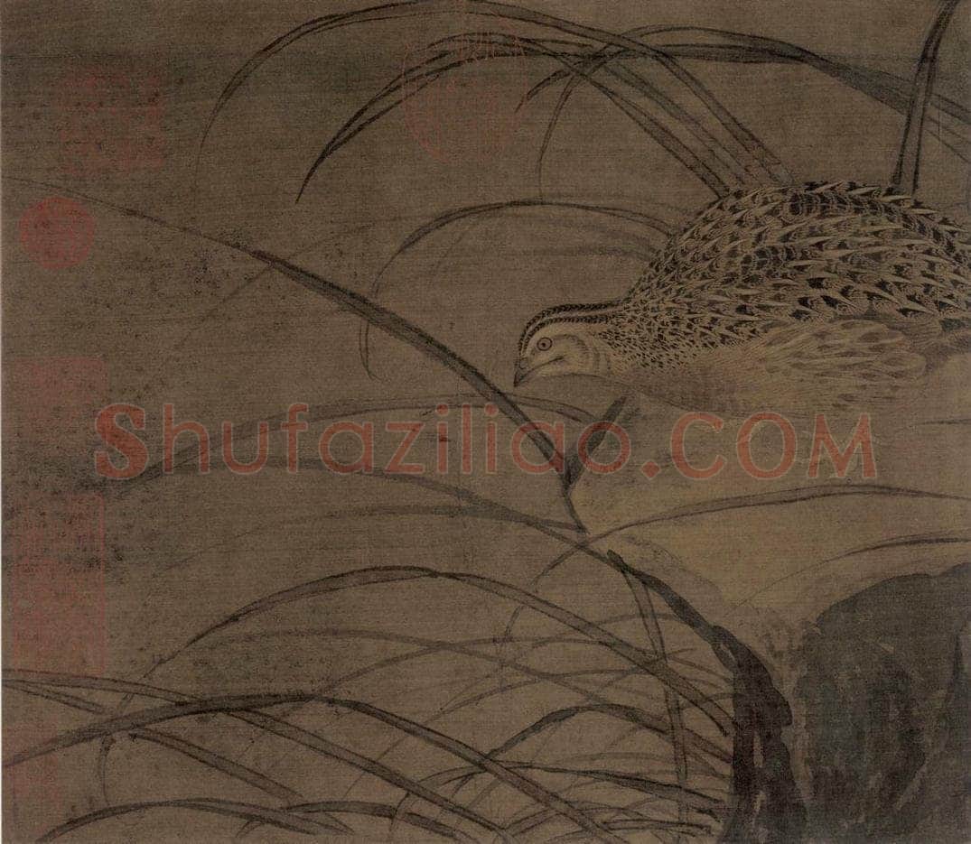宋朝 佚名 《鹌鹑图》 书画作品