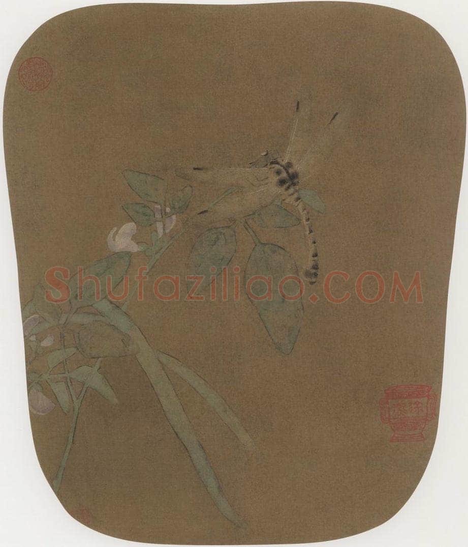 宋朝 佚名 《豆花蜻蜓图》 书画作品