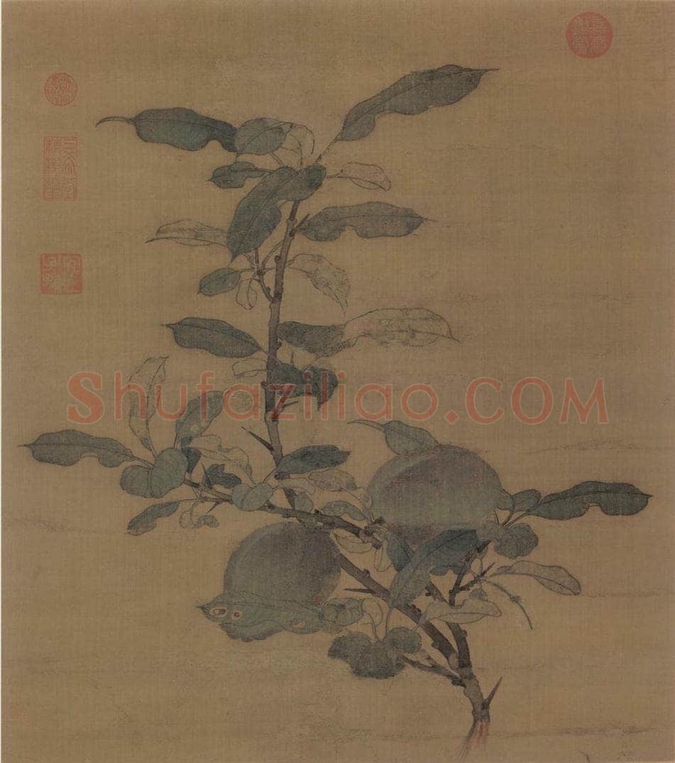 宋朝 佚名 《折枝果图》 书画作品