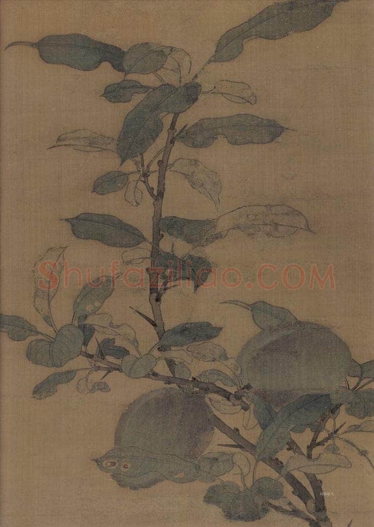 宋朝 佚名 《折枝果图》 书画作品