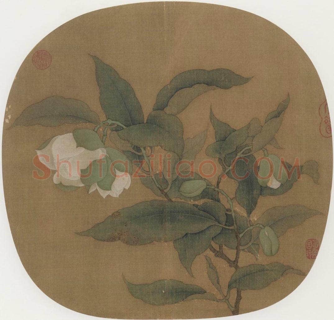 宋朝 佚名 《夜合花图》 书画作品