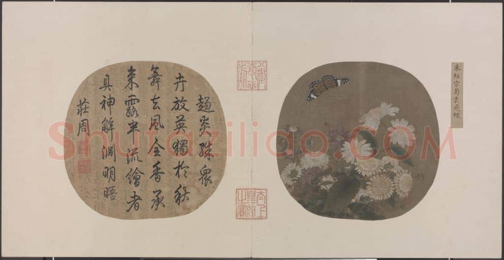 朱绍宗菊丛飞蝶图页 | 故宫绘画藏品