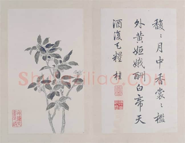 弘历《秋英六种》册 | 故宫绘画藏品