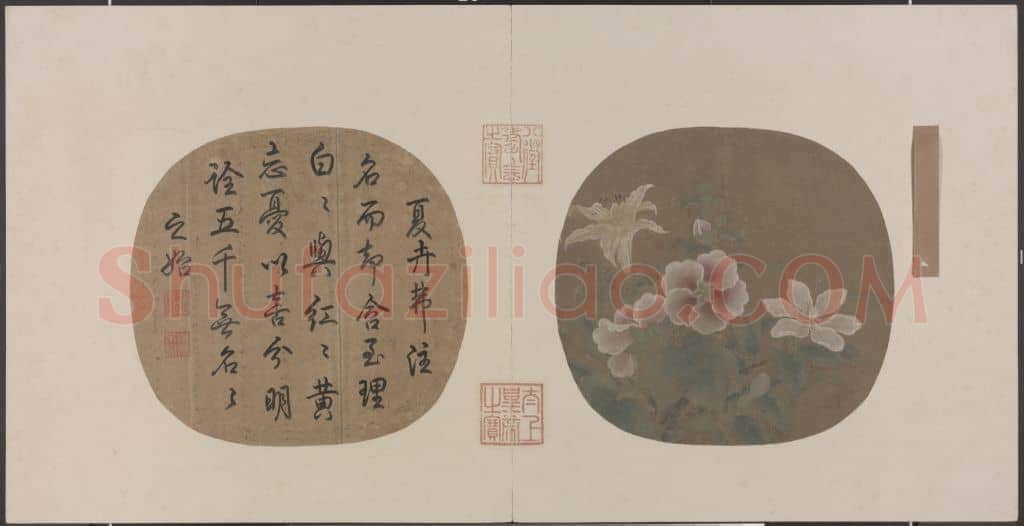 夏卉骈芳图页 | 故宫绘画藏品