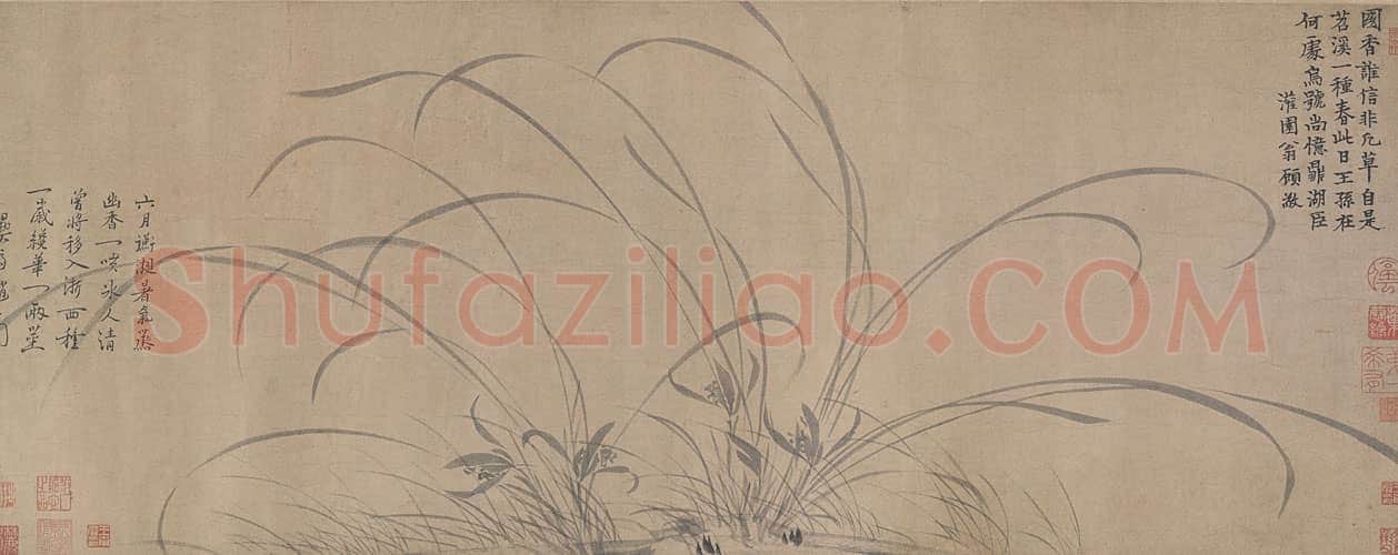赵孟坚墨兰图卷 | 故宫绘画藏品