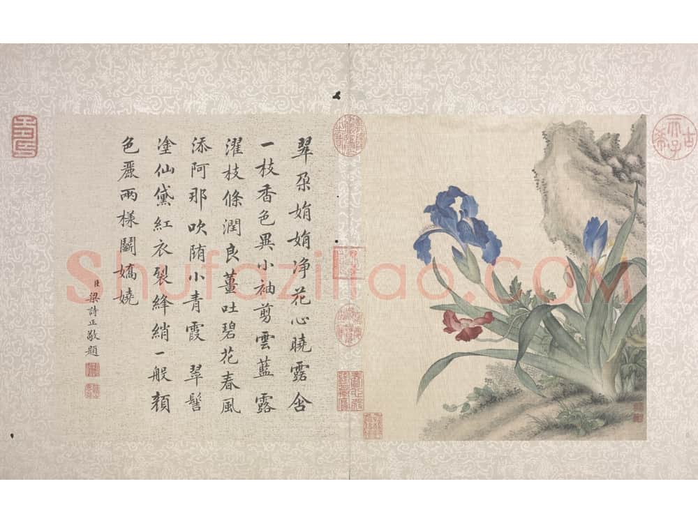 郎世宁花鸟图册 | 故宫绘画藏品