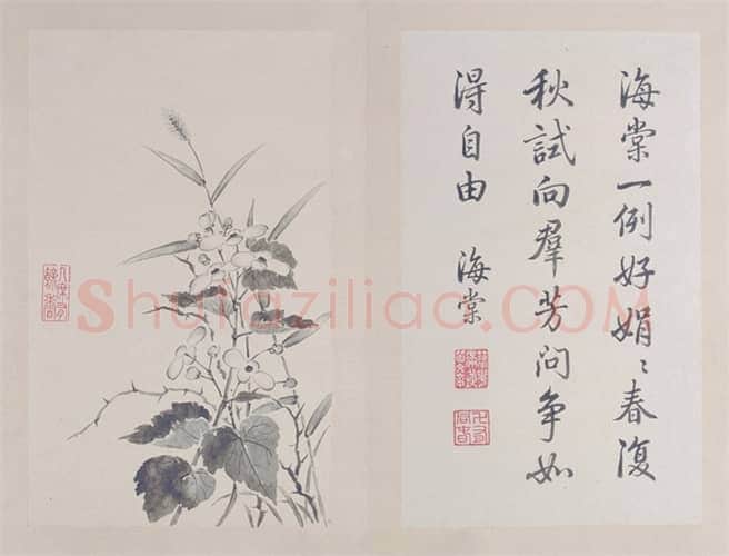 弘历《秋英六种》册 | 故宫绘画藏品