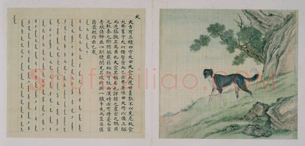兽谱图册——犬 | 故宫绘画藏品