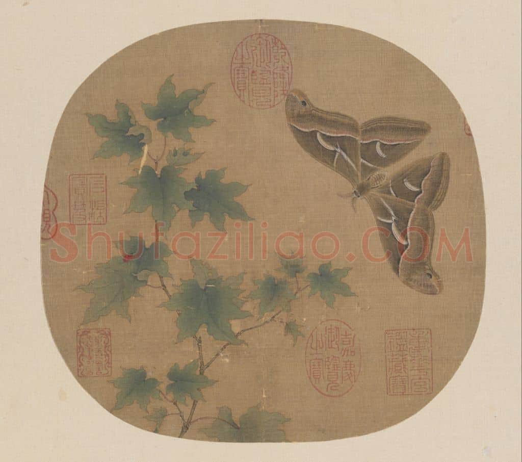青枫巨蝶图页 | 故宫绘画藏品