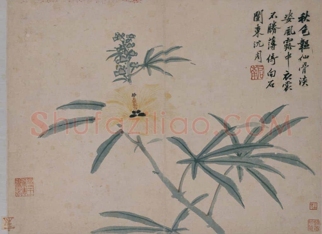 沈周卧游图册 | 故宫绘画藏品
