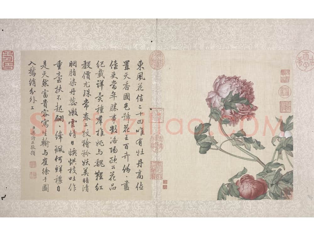 郎世宁花鸟图册 | 故宫绘画藏品
